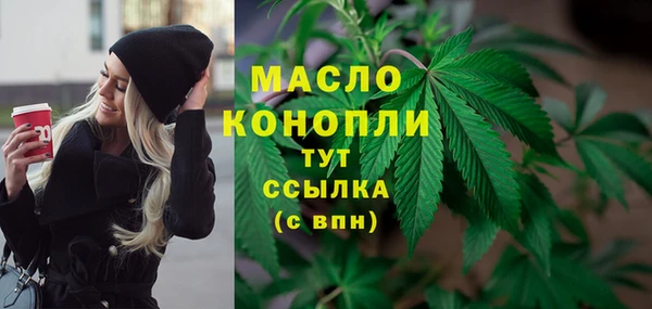 метадон Няндома