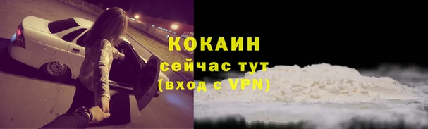 прущие грибы Остров