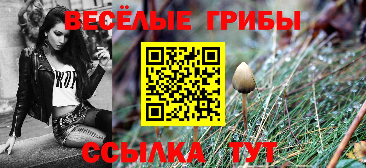 Галлюциногенные грибы Psilocybine cubensis  Псилоцибиновые грибы Cubensis  Киреевск  Вход с VPN 